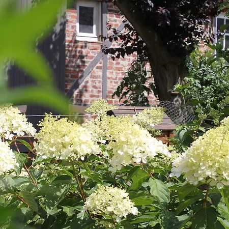D'hotes L'aubaine Avec Jacuzzi