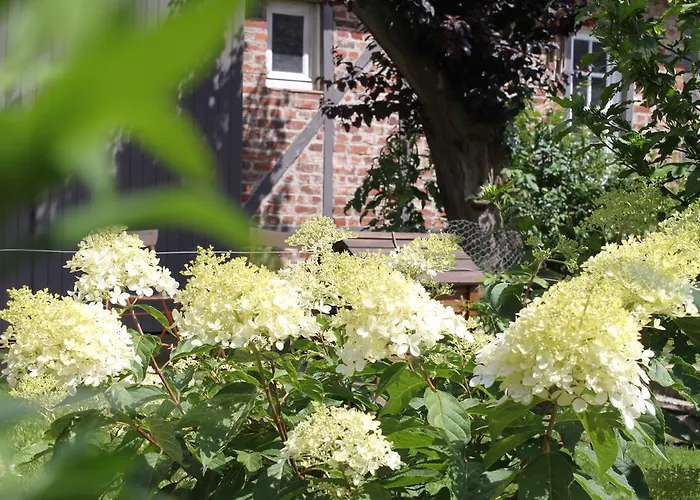 D'hotes L'aubaine Avec Jacuzzi